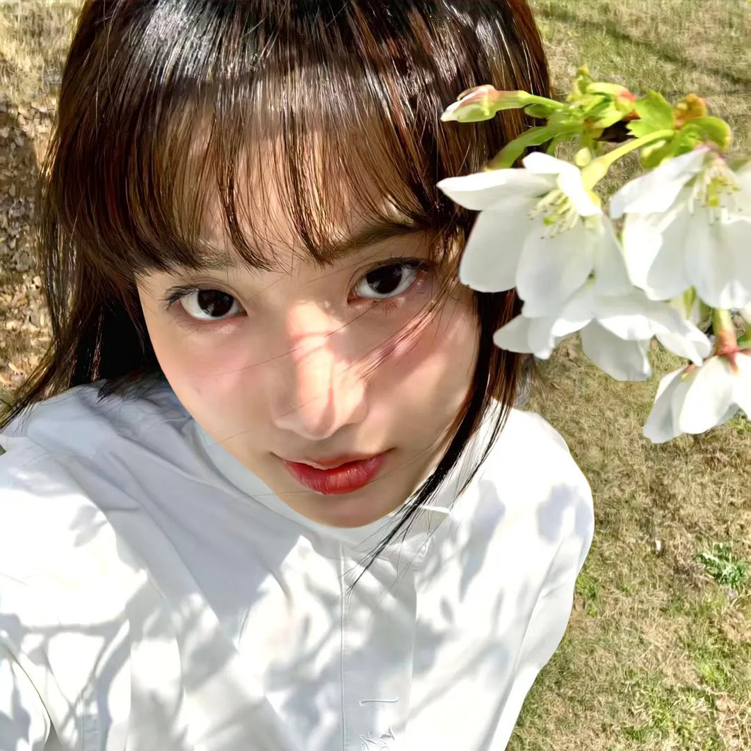 龙儿凤女贺至尊